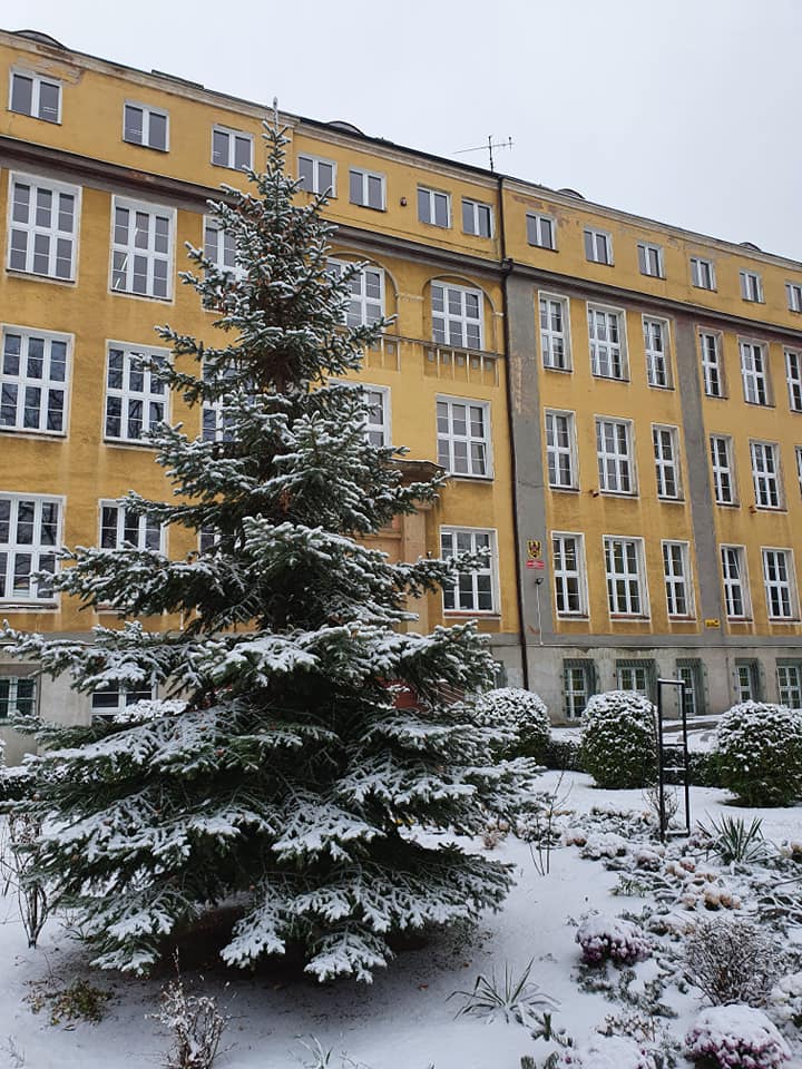 Budynek szkolny w zimowej szacie 